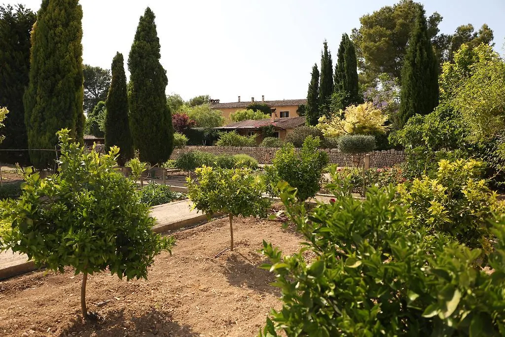 Oliver Moragues Grandhouse & Vineyard Algaida  0*, Algaida (Mallorca)