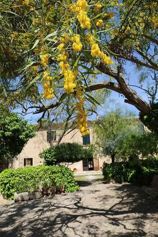Oliver Moragues Grandhouse & Vineyard Algaida  Algaida (Mallorca)