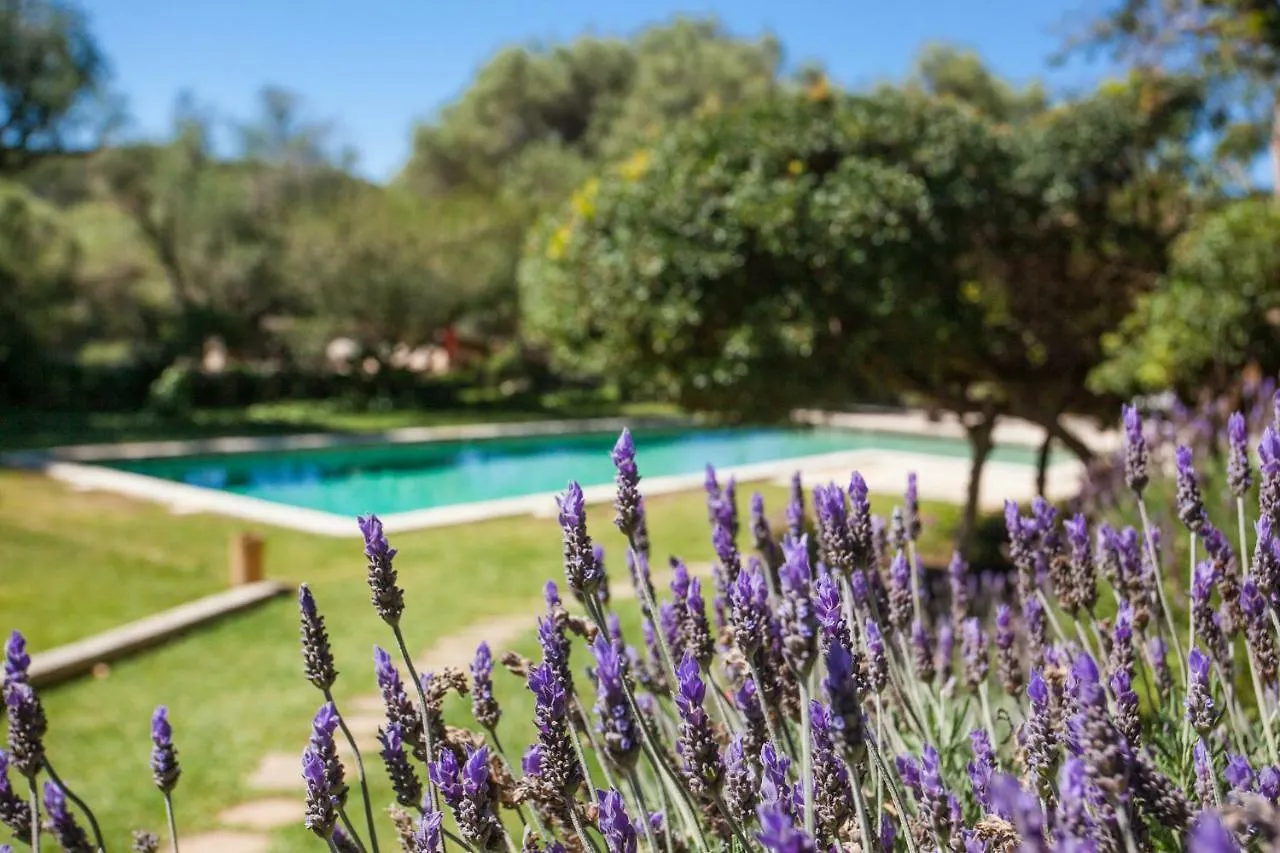 Oliver Moragues Grandhouse & Vineyard Algaida  Algaida (Mallorca)