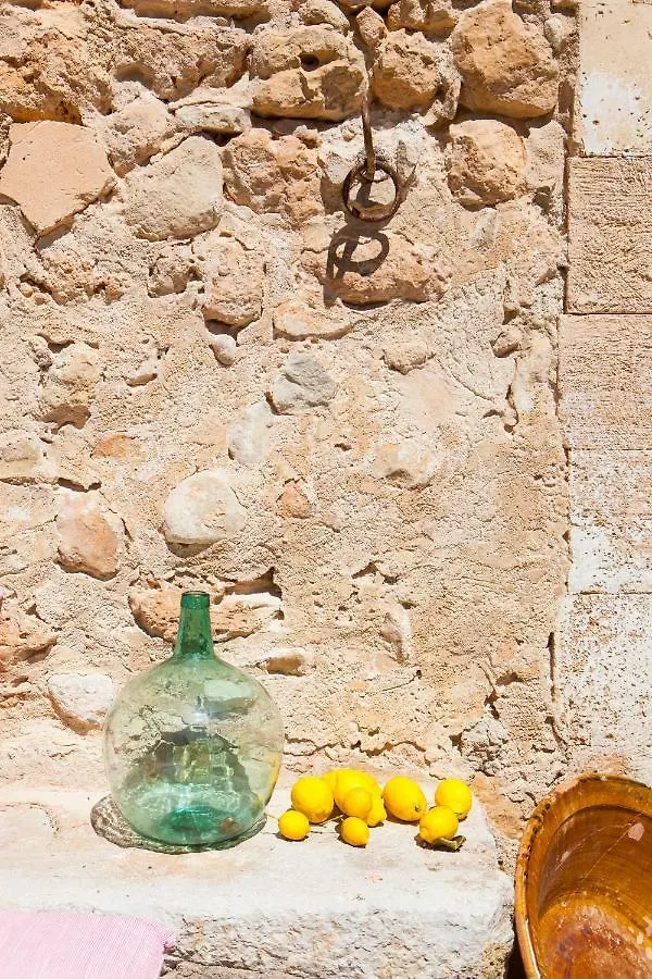 Oliver Moragues Grandhouse & Vineyard Альгайда