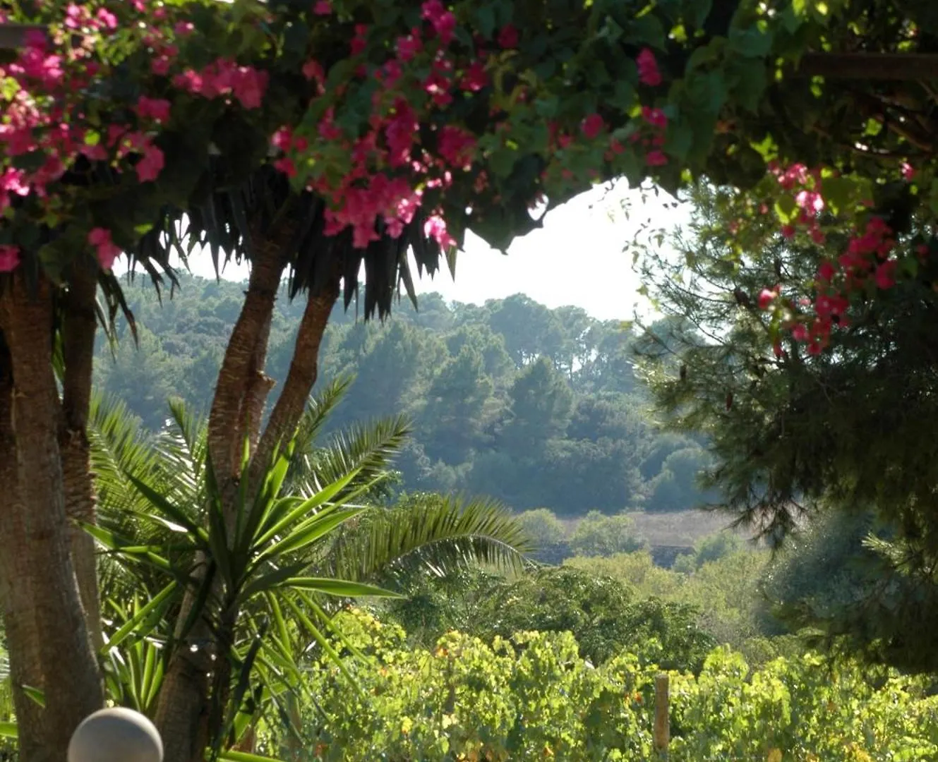 Landhuis Oliver Moragues Grandhouse & Vineyard Algaida