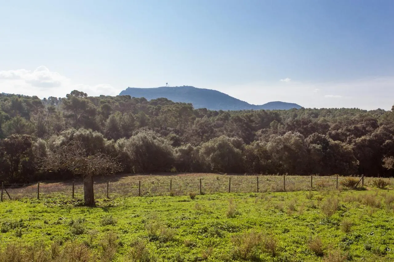 Oliver Moragues Grandhouse & Vineyard Algaida  0*, Algaida (Mallorca)