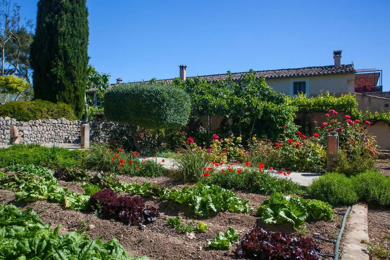 Oliver Moragues Grandhouse & Vineyard 阿尔盖达